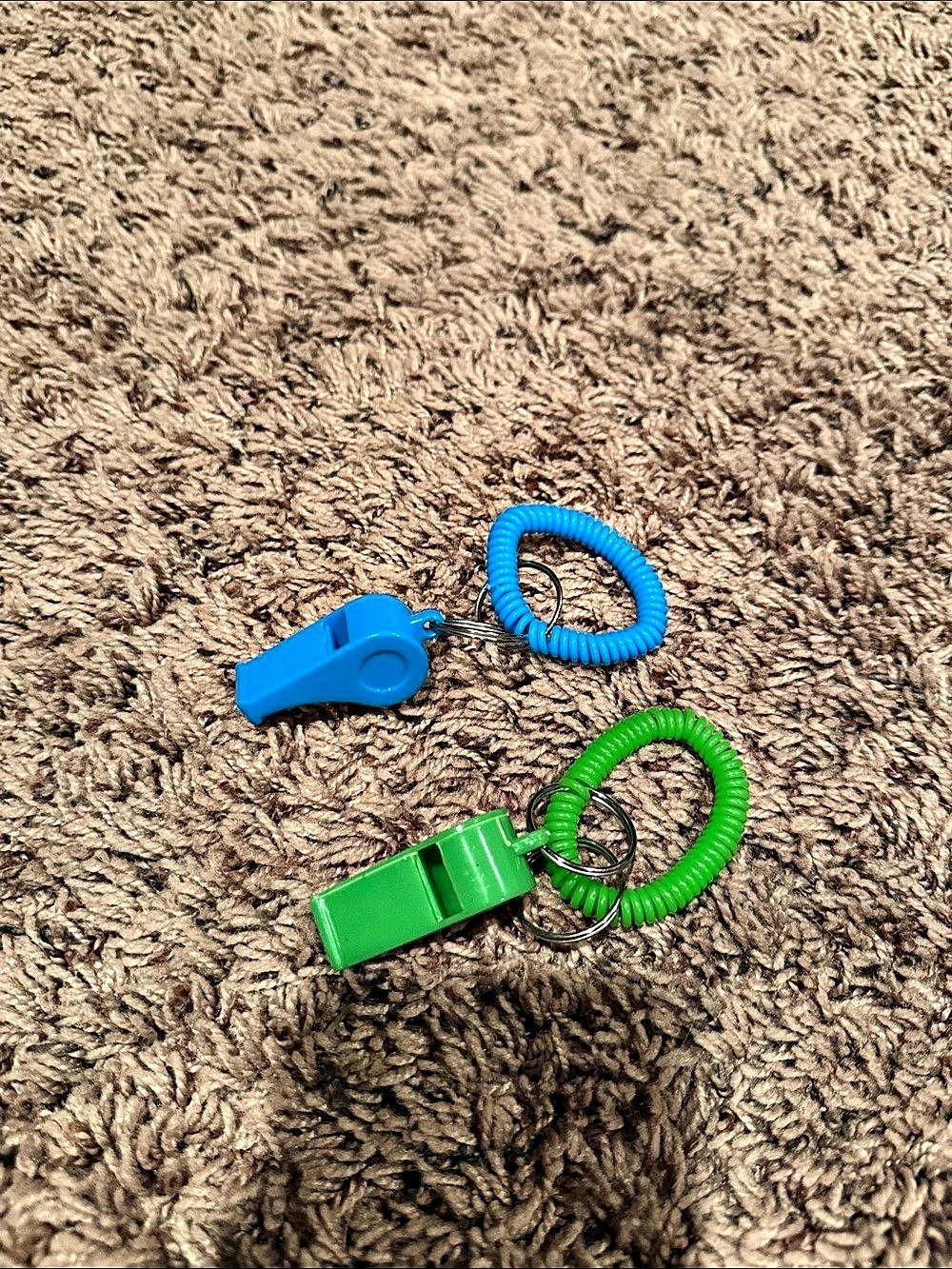 Dog Whistle Toy Set in Green & Blue